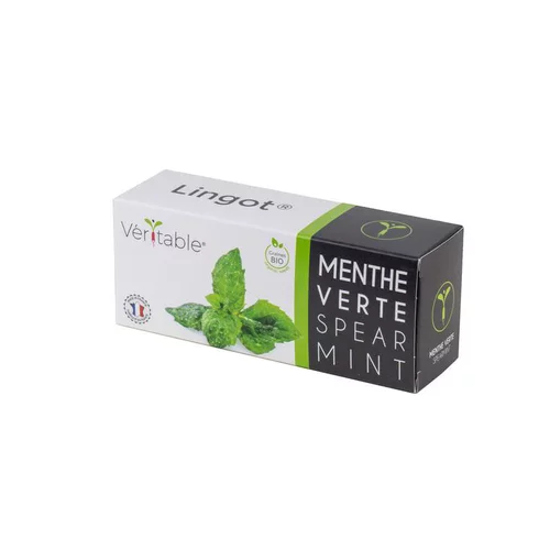 Lingot Menthe Verte Bio