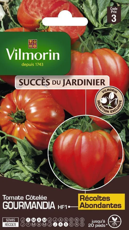 Tomate Côtelée Gourmandia HF1 Vilmorin - graines à semer
