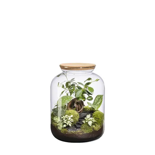 Terrarium autonome Bonbonne Landscape botanic® - taille S