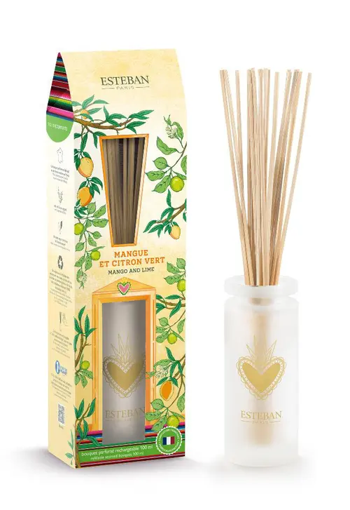 Bouquet parfumé avec sa recharge senteur mangue et citron vert Esteban - 100 ml