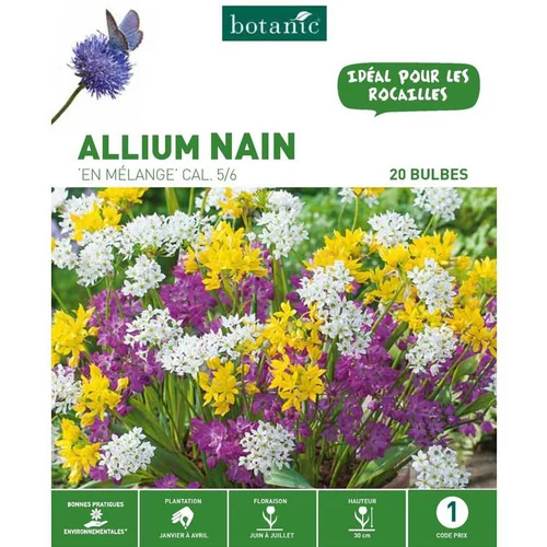 Allium Mélange botanic® - 20 bulbes