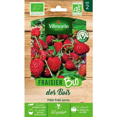 Graines de fraisier des bois bio Vilmorin - graines à semer