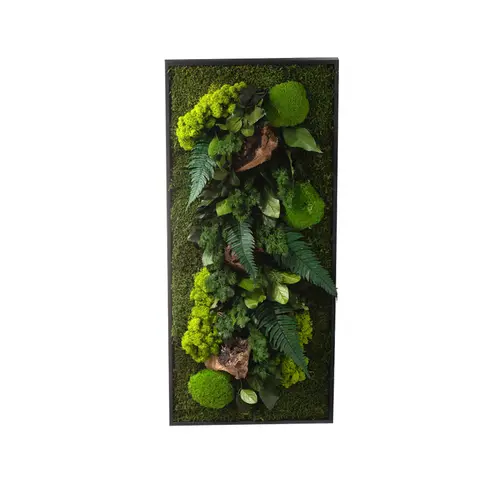Cadre stabilisé canopée Naturalys rectangle L - 40 x 90 cm