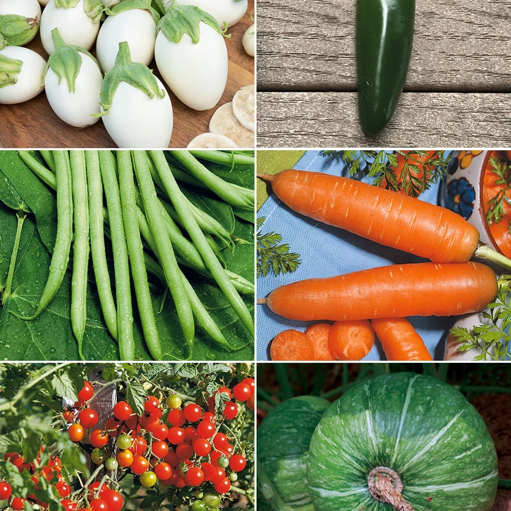 Collection de graines pour carré potager #2 Assortiment pour carré potager #2