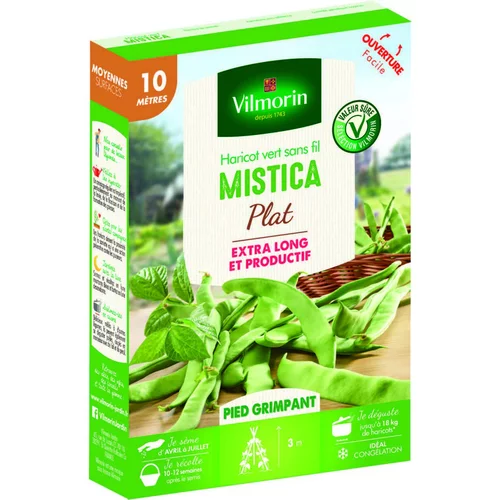 Graines de haricot nain mistica Vilmorin - graines à semer