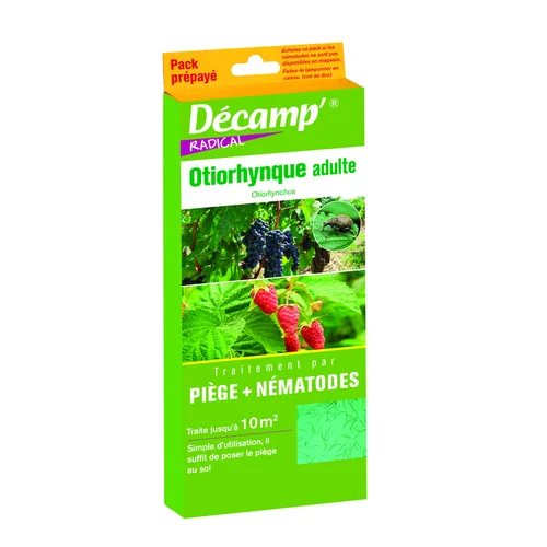 Nématodes piège othyorynque