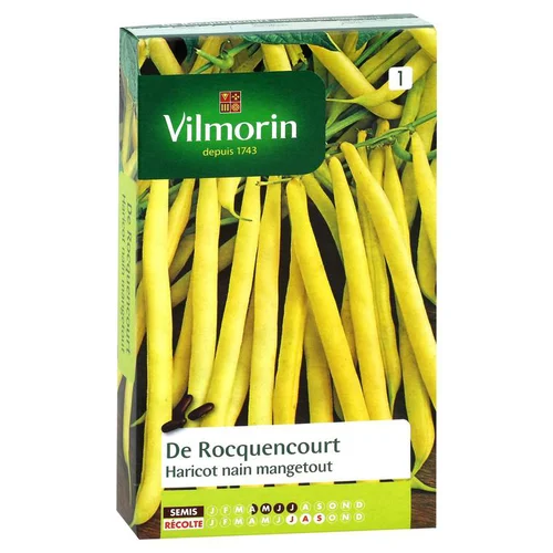Haricot nain mangetout de Rocquencourt Vilmorin - graines à semer