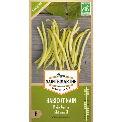 Sachet de graines de haricot major