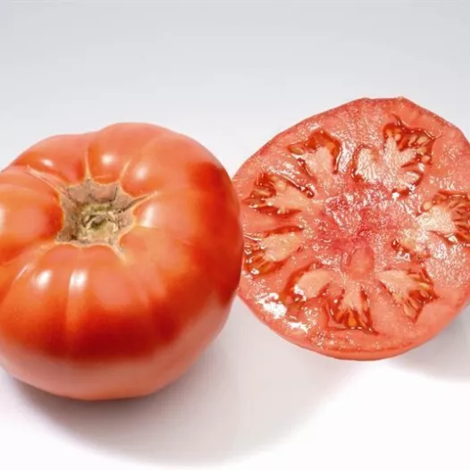 Tomaat Marmande | Tomatenzaden