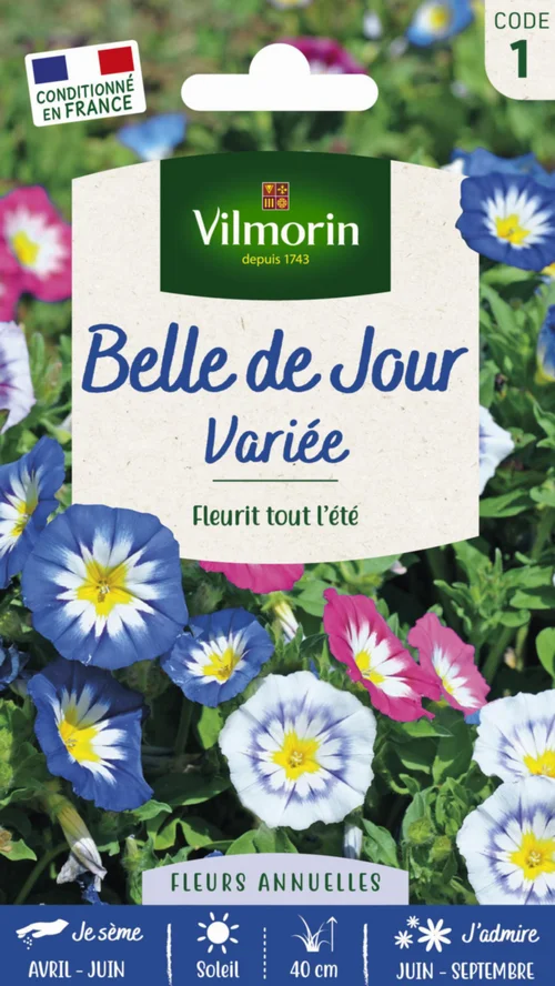Belle de jour Variée Vilmorin - graines à semer