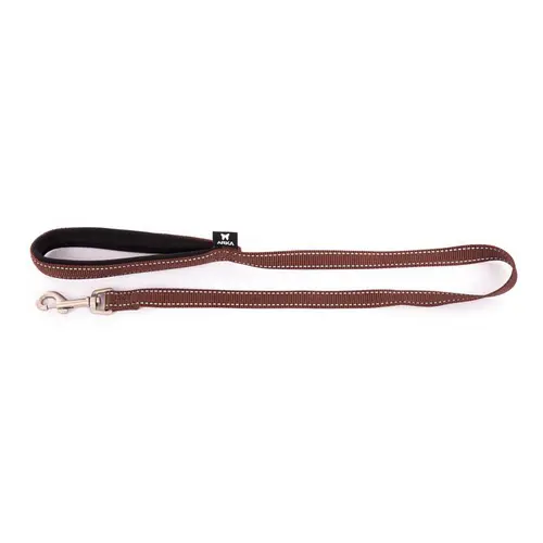 Laisse Neo+ pour chien coloris marron 1,5x100 cm