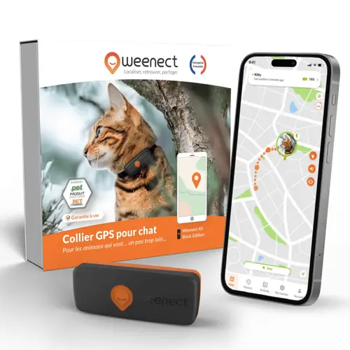 Collier GPS pour chat coloris noir Weenect
