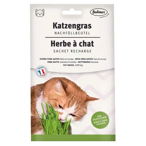 Recharge pour herbe à chat Bubimex