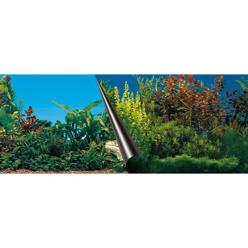 Poster d'aquarium paysage sous-marin - EBI Beauty/Sea - 120x50 cm