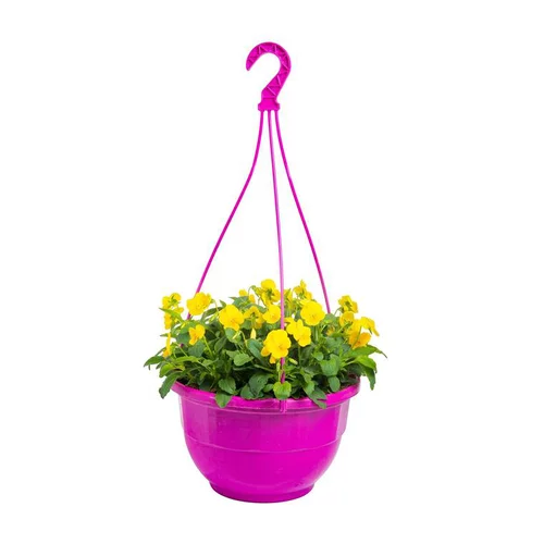 Viola Cornuta. La suspension de 27 cm