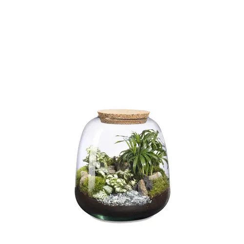 Terrarium autonome Moly M Landscape botanic®
