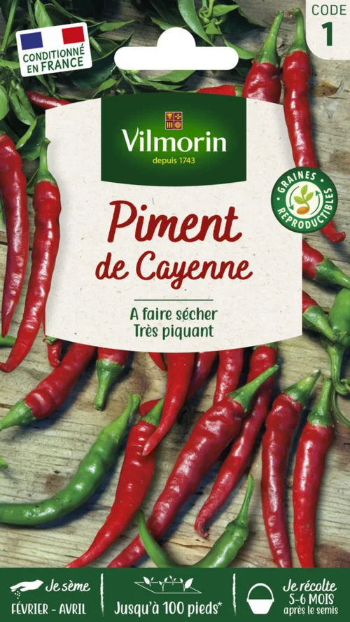 Piment de Cayenne Vilmorin - graines à semer