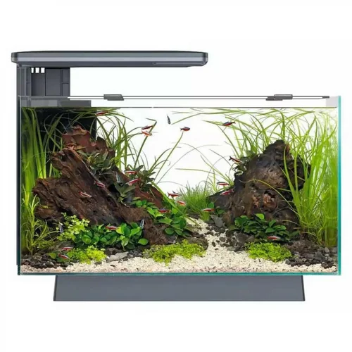 Aquarium 100% équipé noir SUPERFISH Quadro 40 Pro - 28L