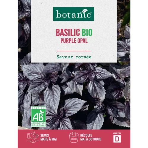 Graines de Basilic purple opal bio botanic® - graines à semer