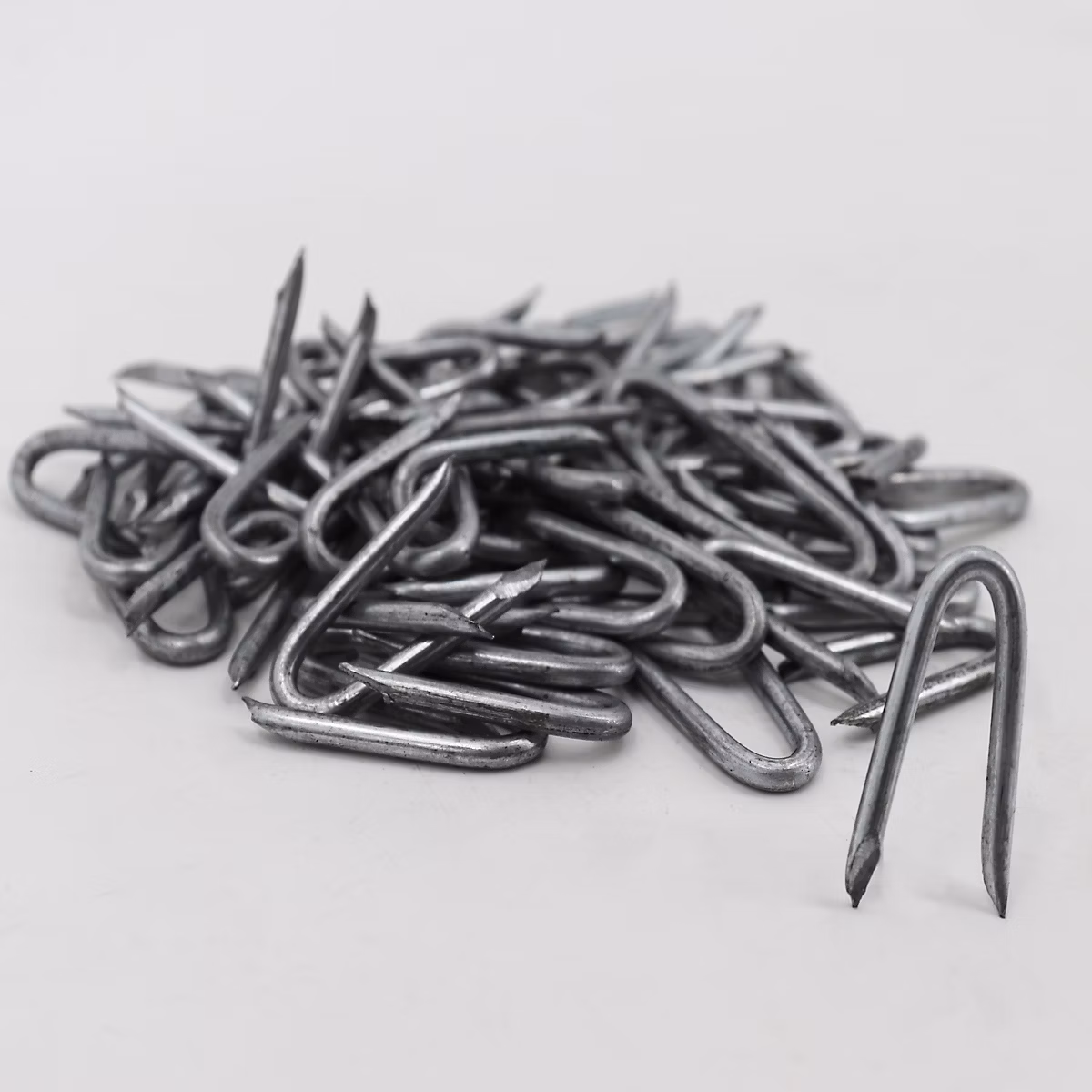9 kg de crampons – boucles métalliques | clôture de protection Aquagart