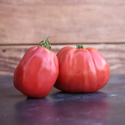 Bio zaden van Tomaat Grosse des Marais