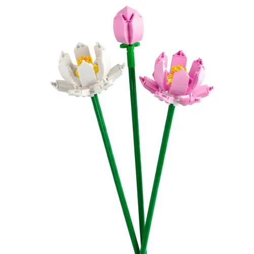 Fleurs de lotus LEGO® Botanical Collection 8 ans et plus - 220 pièces
