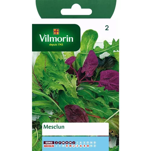 Graines de mesclun Vilmorin - graines à semer