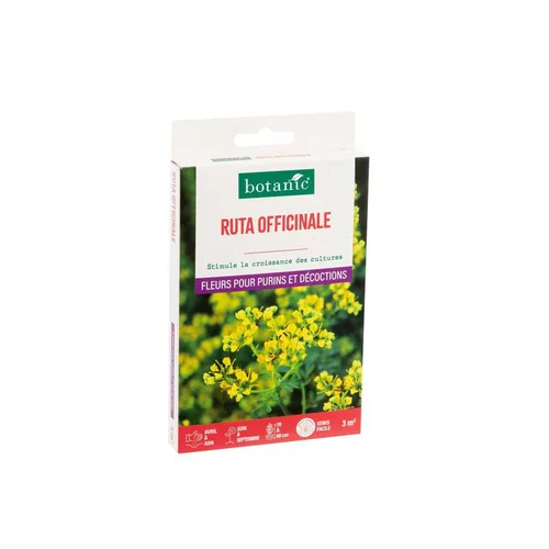 Ruta officinale botanic® - graines à semer (3 m²)