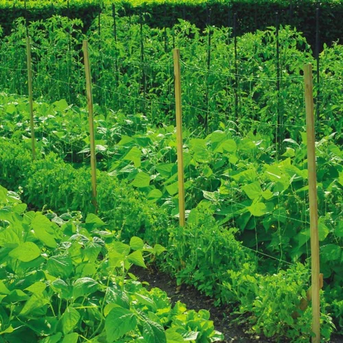 Filet à ramer coloris vert 2x5 m