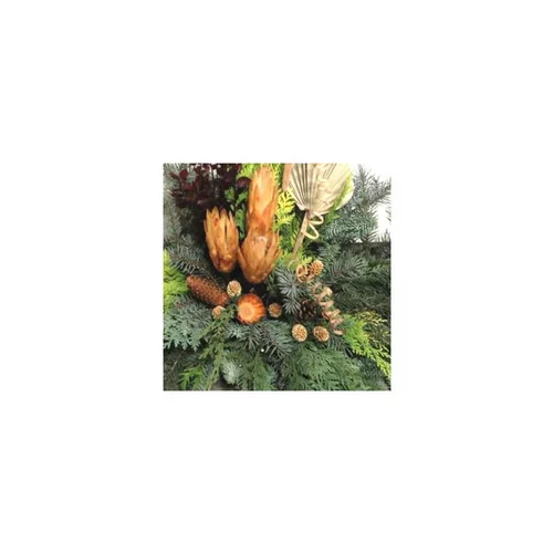 Sujet Sapin Nobilis - La composition