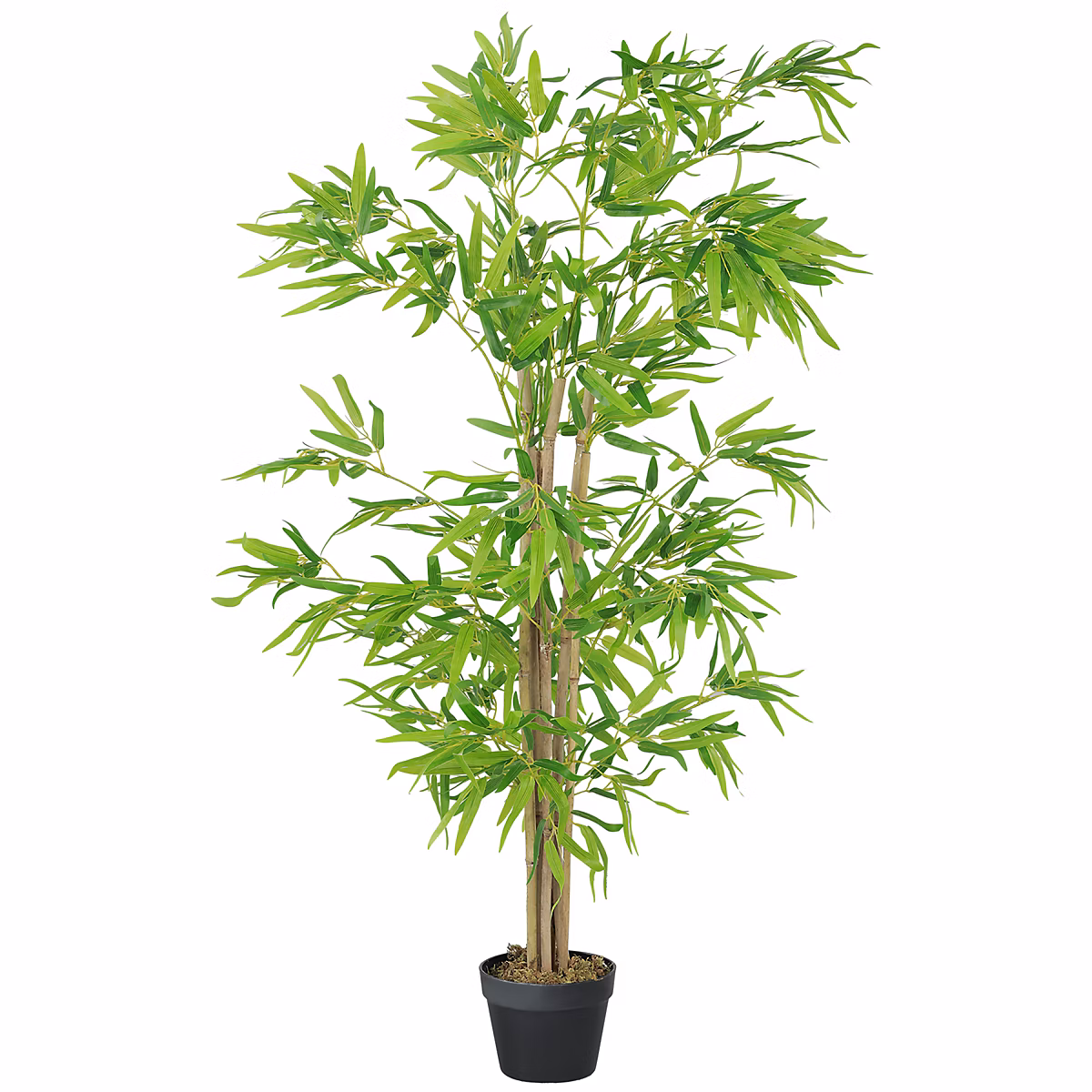 Bambou Artificiel Hauteur 1 – 5 m 644 Feuilles denses réalistes Pot Inclus Noir avec Lichen Vert