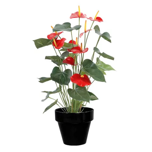 Pot horticole en terre cuite émaillée Noir – D25 x H23