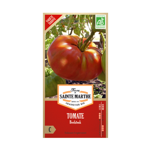 GRAINES TOMATE BEEFSTEAK BIO