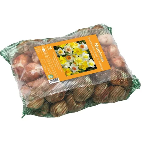 Narcisse en mélange filet grande couronne botanic® - 25 bulbes
