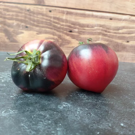Tomaat Cœur de Bœuf blauw, biologische en reproduceerbare zaden