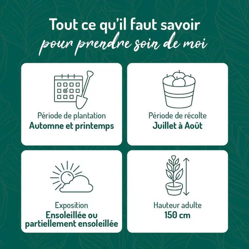 Myrtille Elisabeth Bio. Le pot de 2 litres