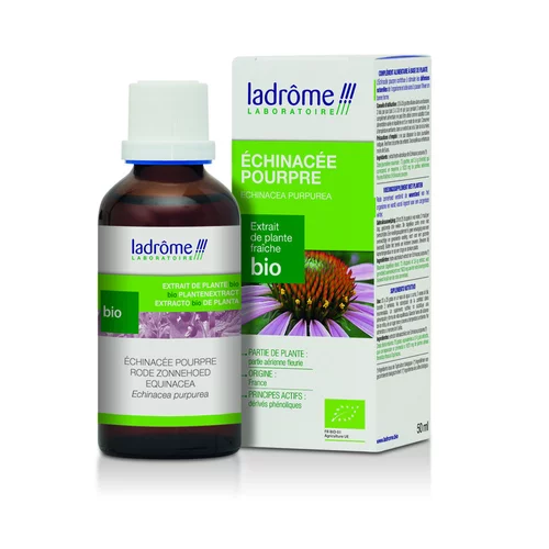 Echinaforce echinacee pourpe flacon 50ml