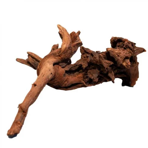 Racine de mangrove naturelle pour aquarium SUPERFISH - 20 cm