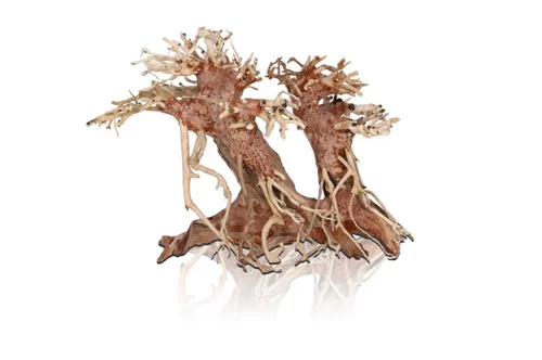 Bonzaï double pour aquascaping coloris marron Aquavie - 23 x 12 x 18 cm