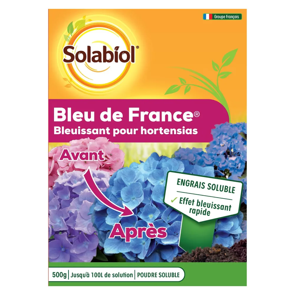 Bleu de France
