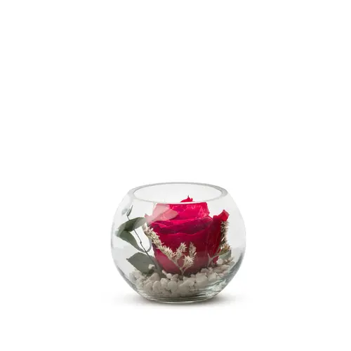 Verrine de végétaux stabilisés rose rouge et eucalyptus Naturalys Venezia 11 - Ø 11 x H 11 cm