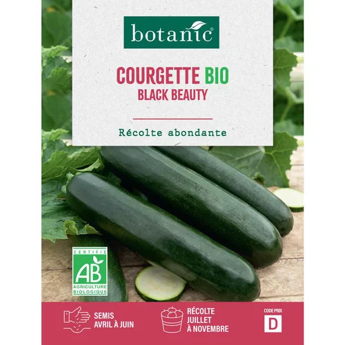 Graines de courgette black beauty bio botanic® - graines à semer
