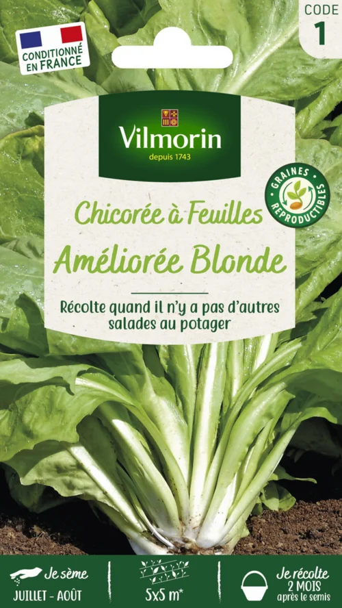 Chicorée Sauvage à feuilles améliorée Blonde Vilmorin - graines à semer