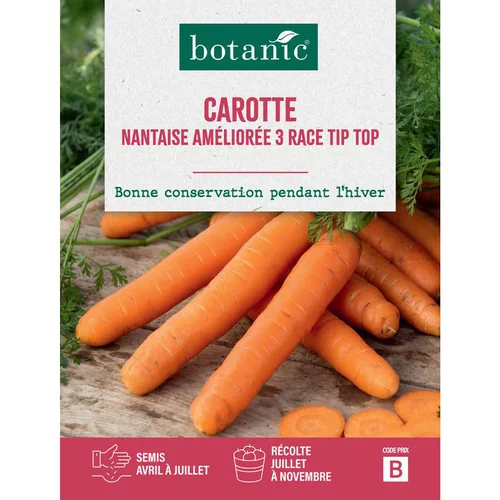 Graines de carotte nantaise améliorée 3 race tip top botanic® - graines à semer