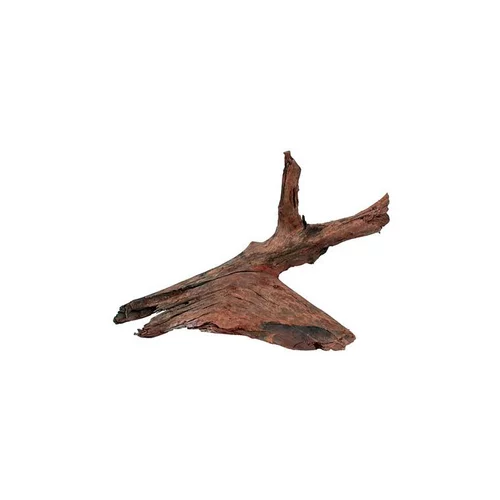 Racine Mangrove en bois naturel marron taille M 25/40 cm