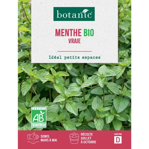 Graines de menthe vraie bio botanic® - graines vraie semer