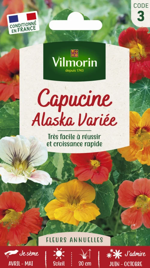 Capucine Alaska Variée Vilmorin - graines à semer