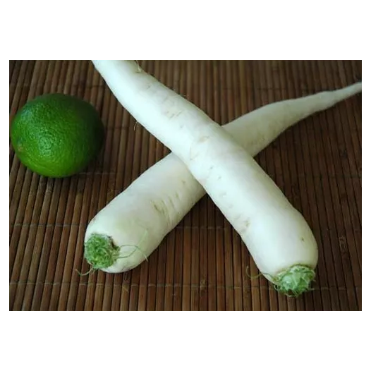 Bio zaden van Radijs Daikon "Minowase Summer Cross"