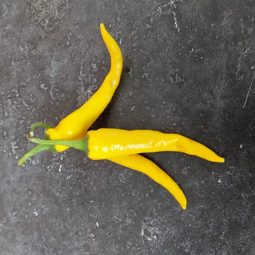Biologische zaden van Cayenne-peper geel
