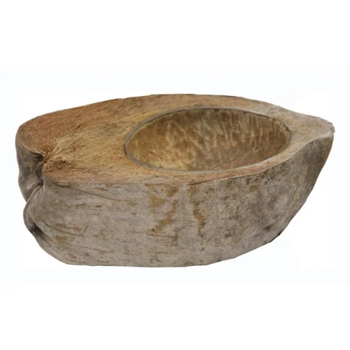 Noix de coco pour terrarium coloris marron Reptile Planet Coco Bowl